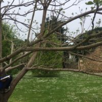 Día de Libro en la Casona Azul de Corvera